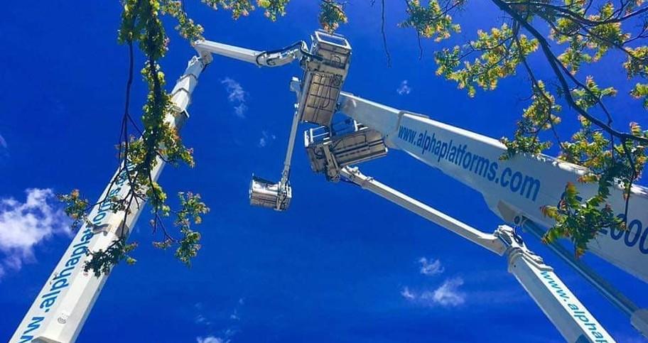 Tree Trimming with Bucket Trucks