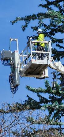 Alpha Platforms Boom Lift  A-150 Reaching Monopine Tower  for Antenna Installation